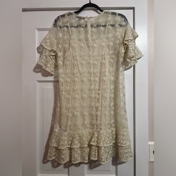 ALL SAINTS • HENRIETTA SHEER LACE RUFFLE DRESS - Picture 9 of 13